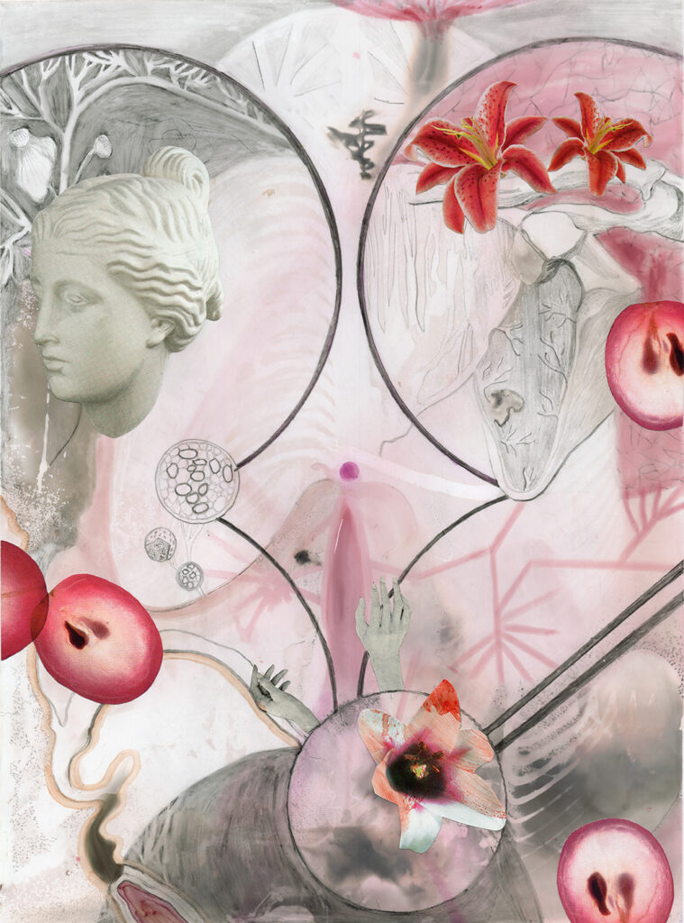 peinture contemporaine, chimigramme et collage sur papier photo fujifilm de l'artiste plasticienne et illustratrice Charlotte Guitard, série Fleurs de Peau 2020
